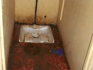 https://washjournalists.files.wordpress.com/2013/12/toilette.jpg